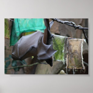 Bat (3) - poster / print