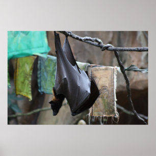 Bat (6) - poster / print