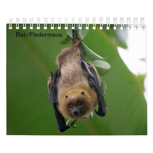 Bat/bat Calendar (Cover)