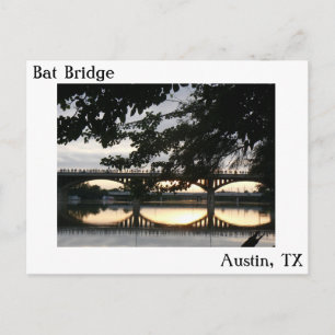 Bat Bridge in Austin, Texas Postcard