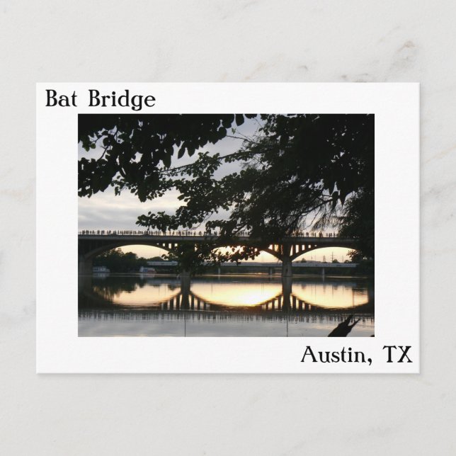 Bat Bridge in Austin, Texas Postcard (Front)