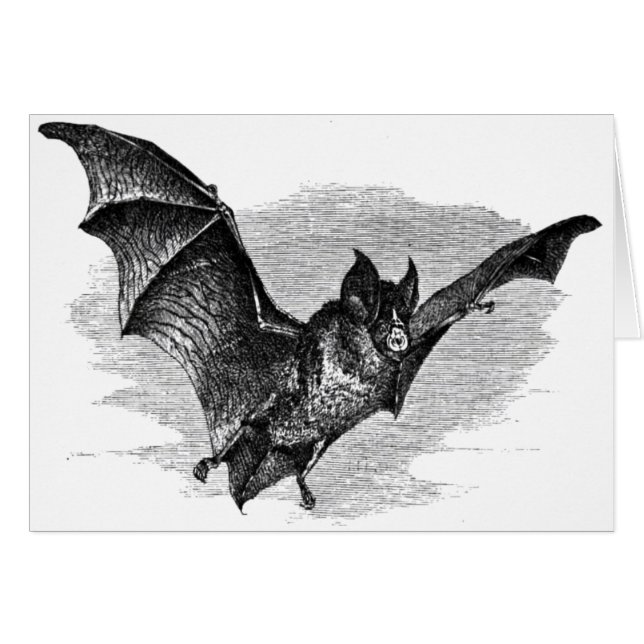 Bat Card (Front Horizontal)