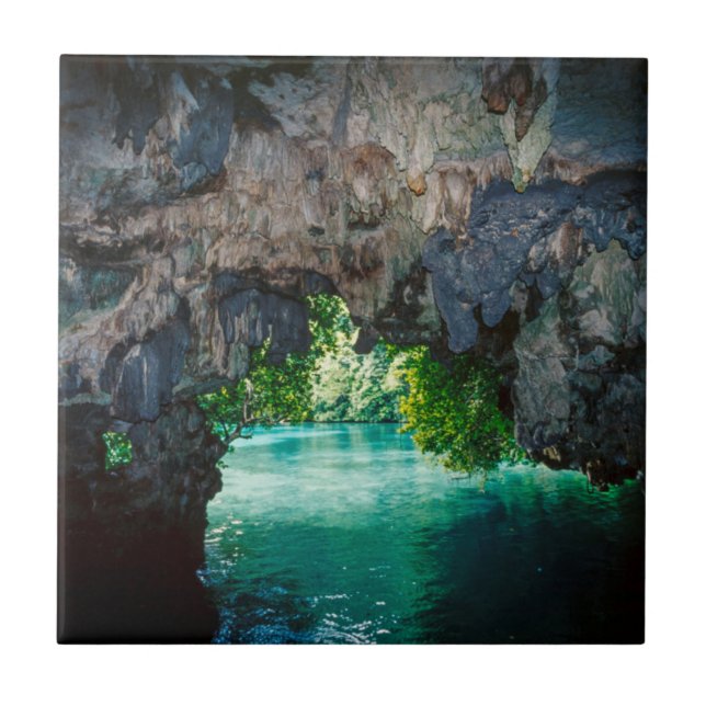 Bat Cave In Airai, Palau, Micronesia Ceramic Tile (Front)