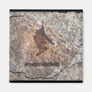bat cave magnet