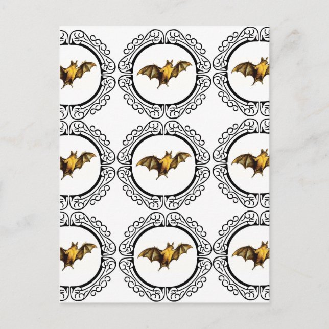 Bat Circles Postcard (Front)