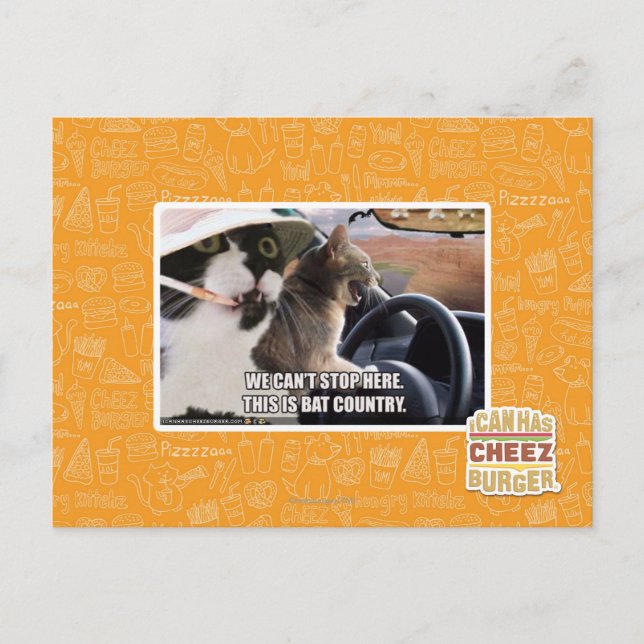 Bat country postcard (Front)