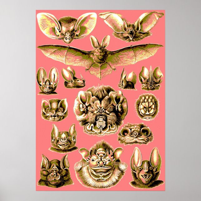 Bat Face Poster (Front)