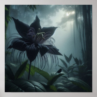 Bat Flower Among Rare Tropical Plants Poster