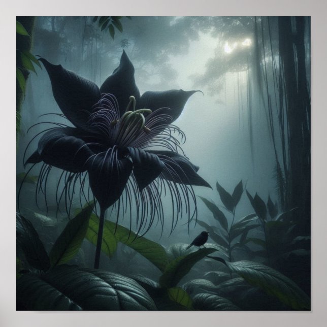 Bat Flower Among Rare Tropical Plants  Poster (Front)