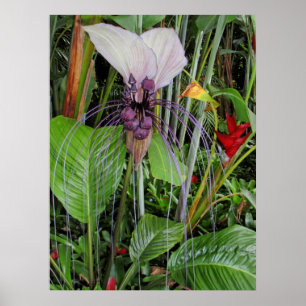 Bat Flower Poster