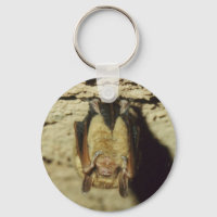 Bat