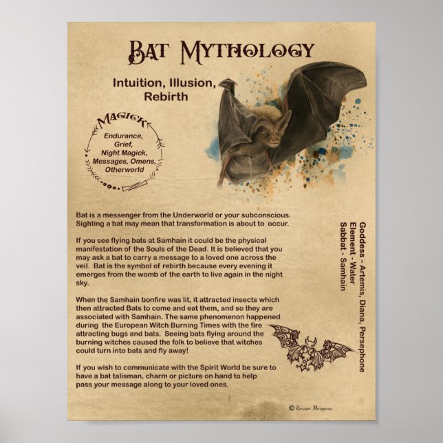 BAT MYTHOLOGY POSTER (Front)