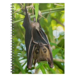 Bat Notebook
