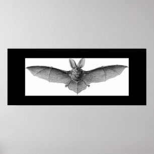 BAT POSTER