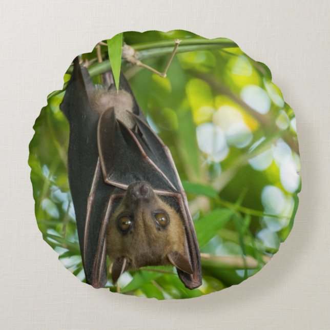 Bat Round Cushion (Front)