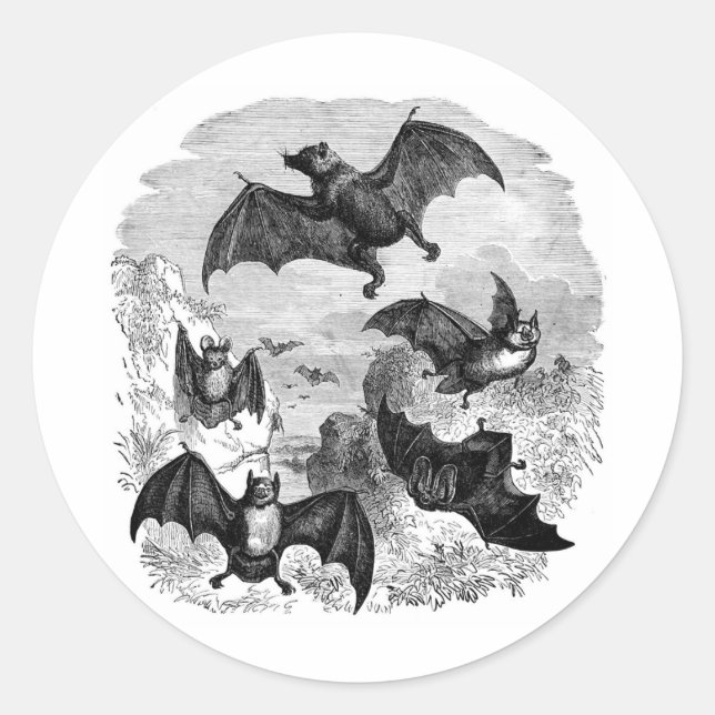 Bat Sketch Classic Round Sticker (Front)