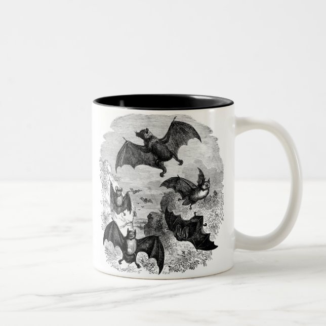 Bat Sketch Two-Tone Coffee Mug (Right)