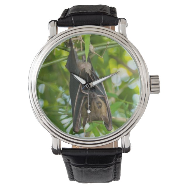 Bat Watch (Front)
