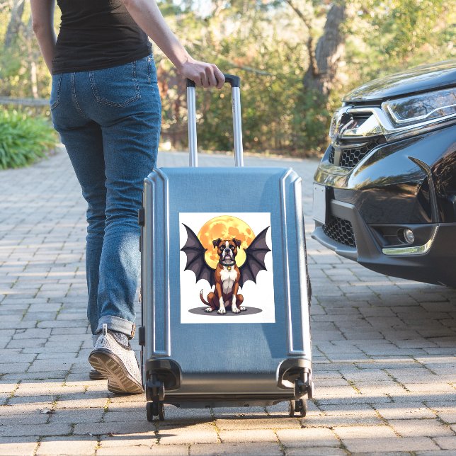 Bat Wings Boxer (Suitcase Insitu)