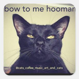 Batcat: bow to me hooman Sticker