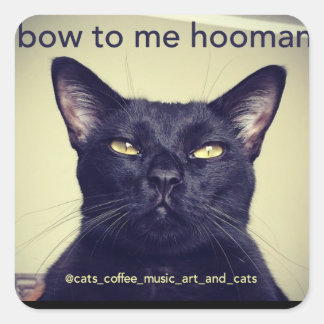 Batcat: bow to me hooman Sticker