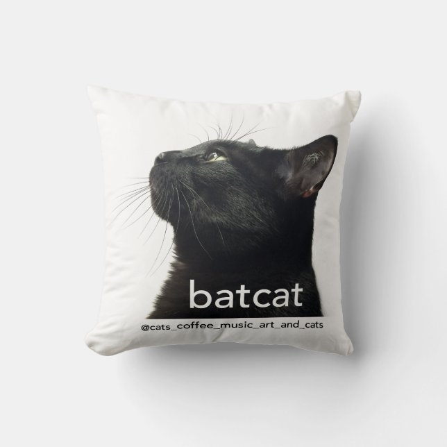 Batcat: Throw pillow (2 sided design) (Front)
