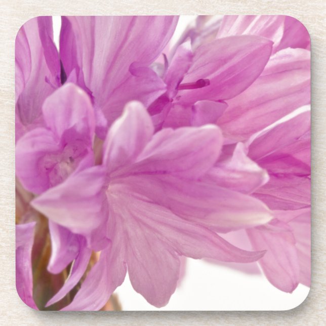 Batchelor Button Coaster (Front)