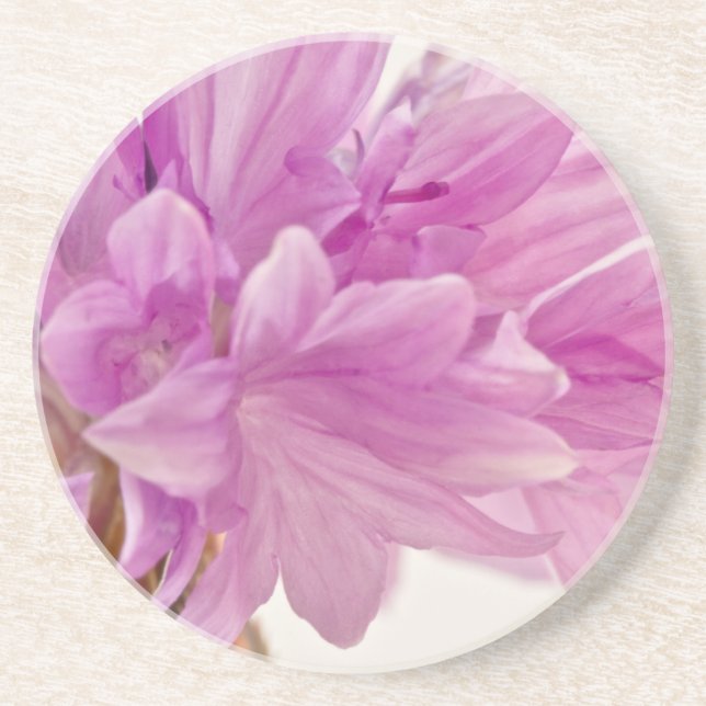 Batchelor Button Coaster (Front)