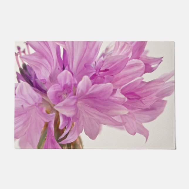 Batchelor Button  Doormat (Front)