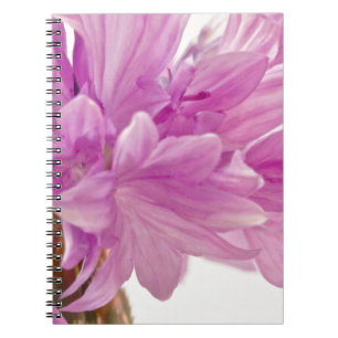Batchelor Button Notebook