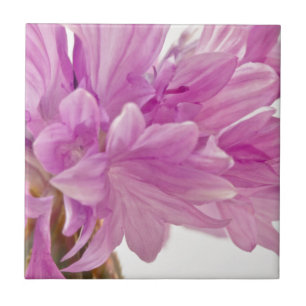 Batchelor Button Tile