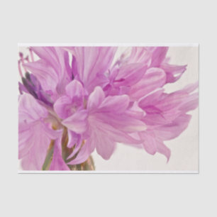 Batchelor Button Tissue Paper