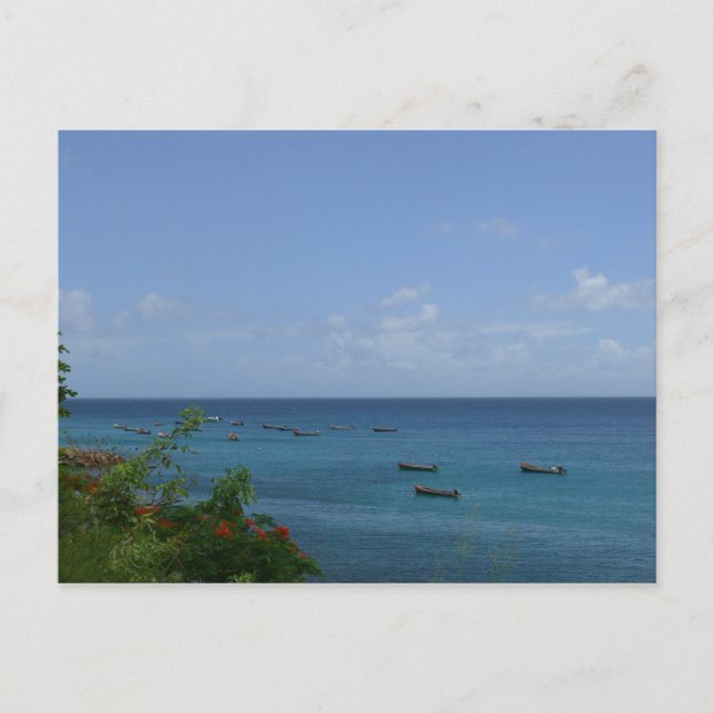 Bateaux de Pêcheurs - Martinique, FWI Postcard (Front)