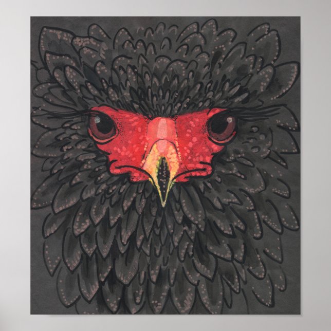 Bateleur Eagle African Bird Portrait Paper Collage Poster (Front)