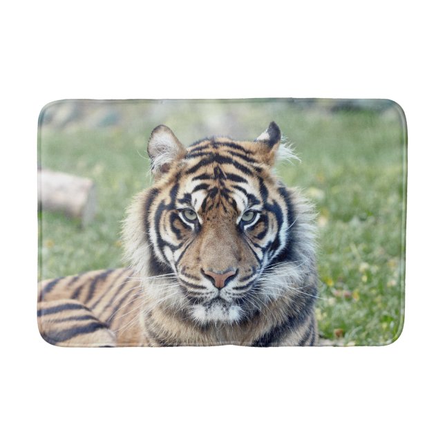 Bath Mat Photo tiger cat , animals. (Front)