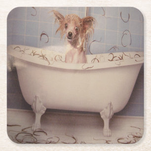 BATH SQUARE PAPER COASTER