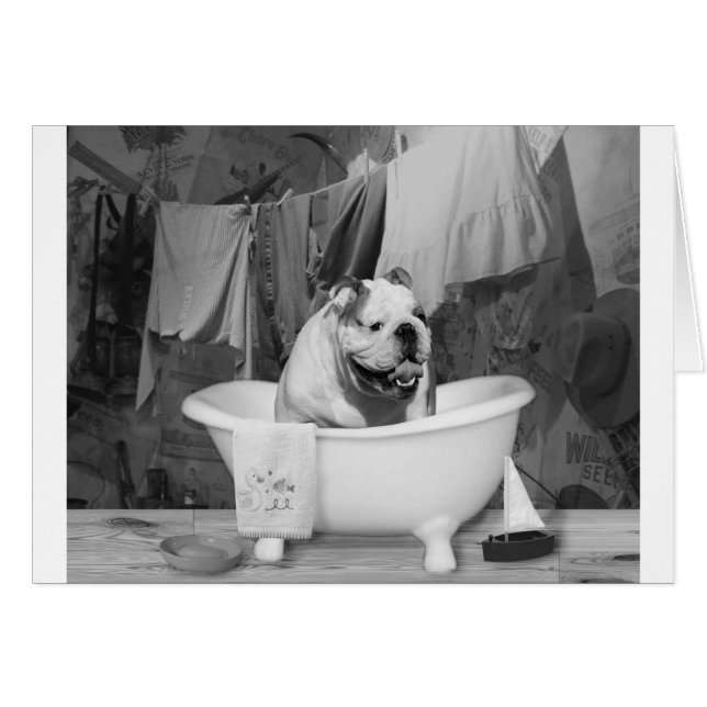 Bath time big fellow (Front Horizontal)