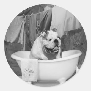 Bath time big fellow classic round sticker