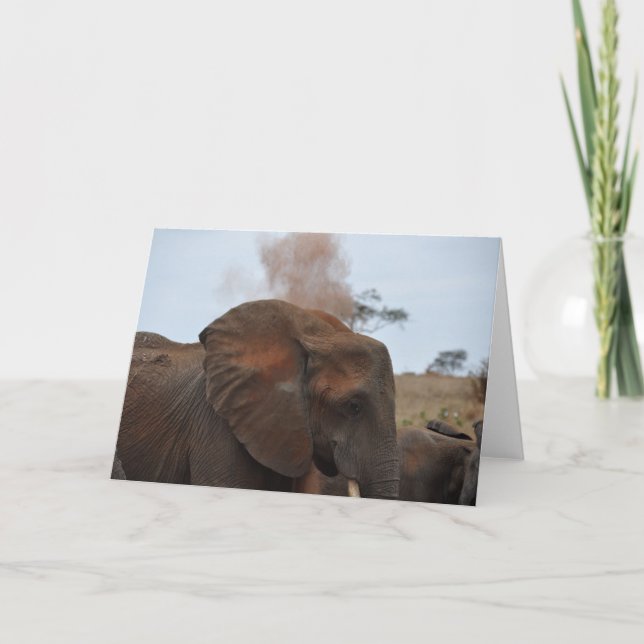 Bath Time Card (Front)