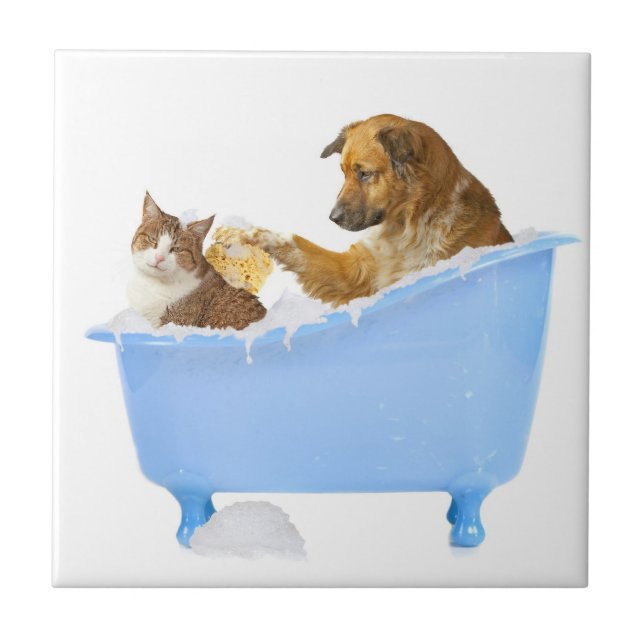 Bath time ceramic tile (Front)