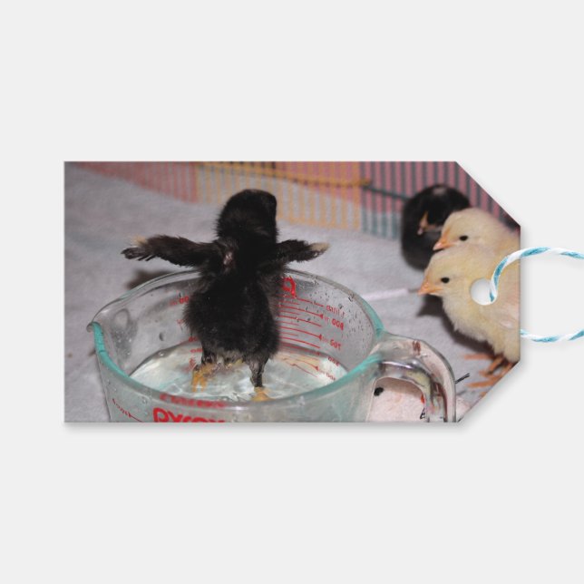 Bath time gift tags (Front (Horizontal))