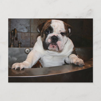 Bath time Post card