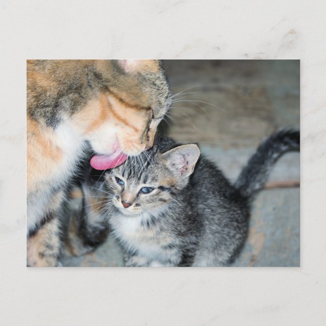 Bath time postcard (Front)