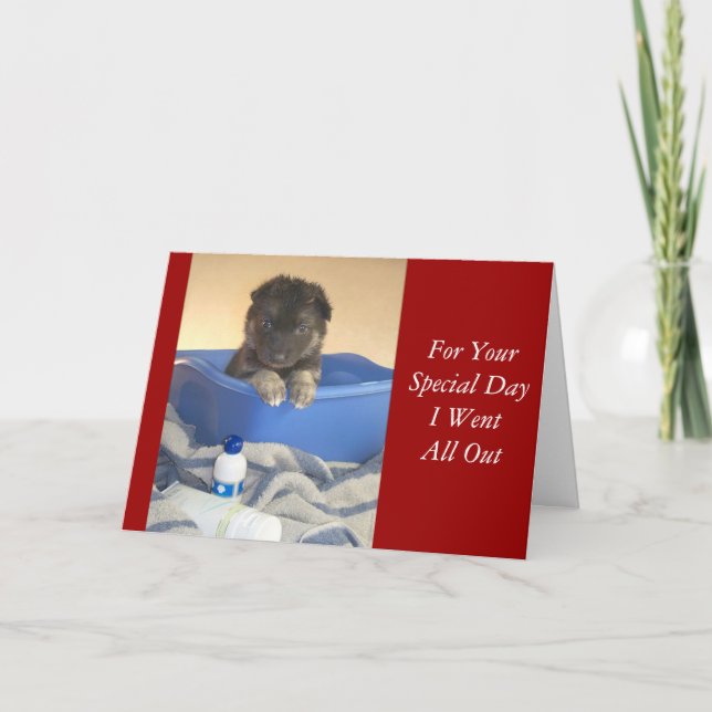 Bath Time Puppies Card (Front)