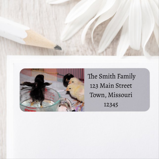 Bath time return address label (Insitu)