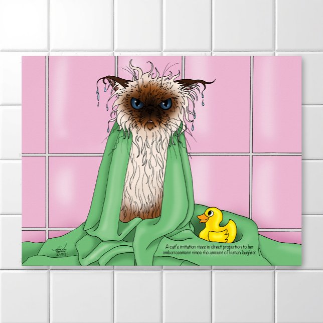 Bath Time Siamese Cat Poster (Creator Uploaded)