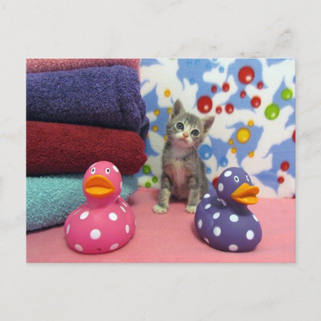 Bath Time with Aidan - Ccat Postcard (Front)