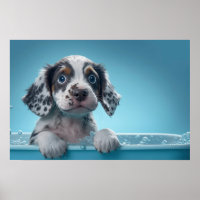 Bath Tub Pup