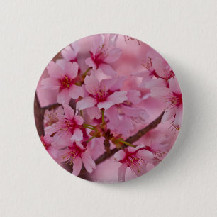 Bathed in Pink Japanese Cherry Blossoms 6 Cm Round Badge