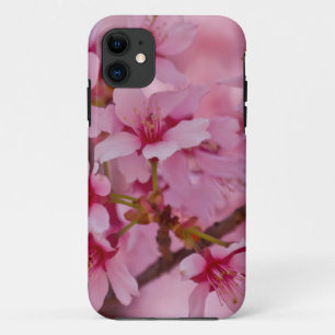 Bathed in Pink Japanese Cherry Blossoms iPhone 11 Case